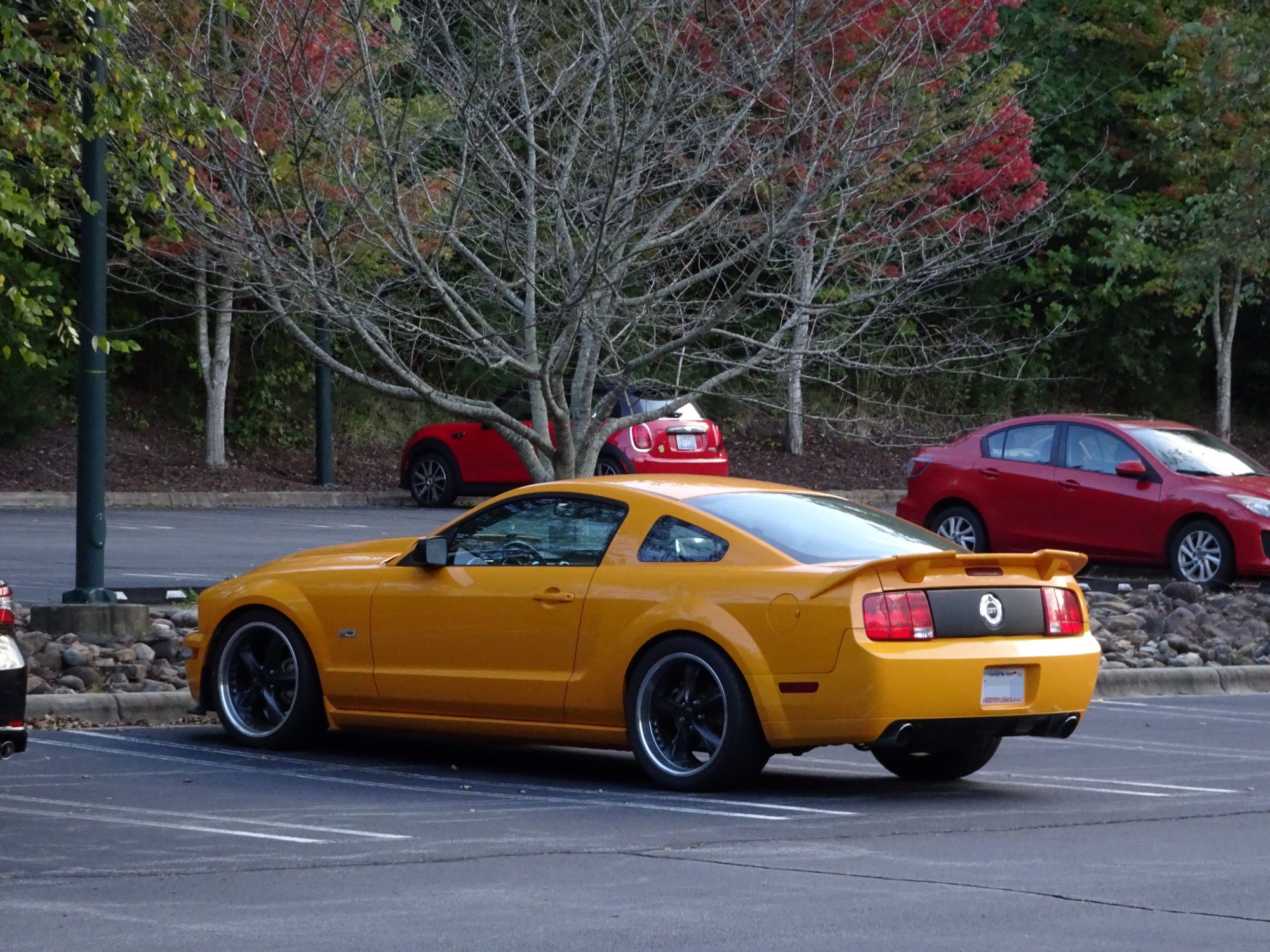 Mustang-image