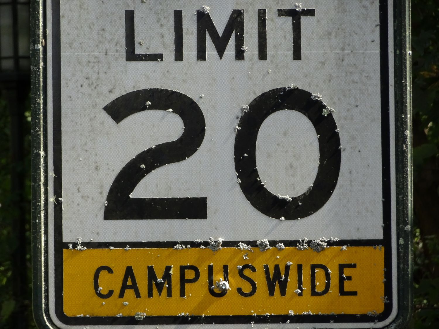 camera-image